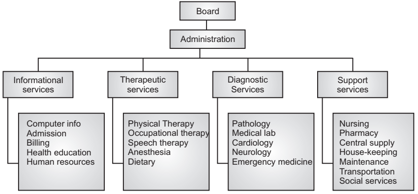 hospital organizational structure essay